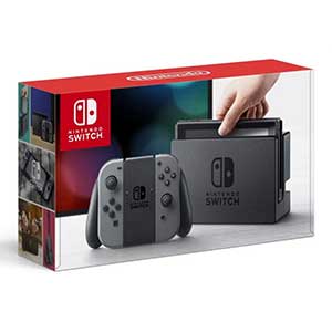 Nintendo Switch - Gray Joy-Con